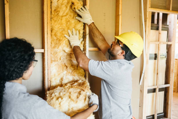 Best Insulation Removal  in Kings Park, NY